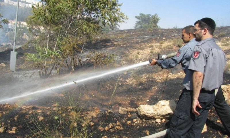 צילום: ידידיה חסון, חדשות 24