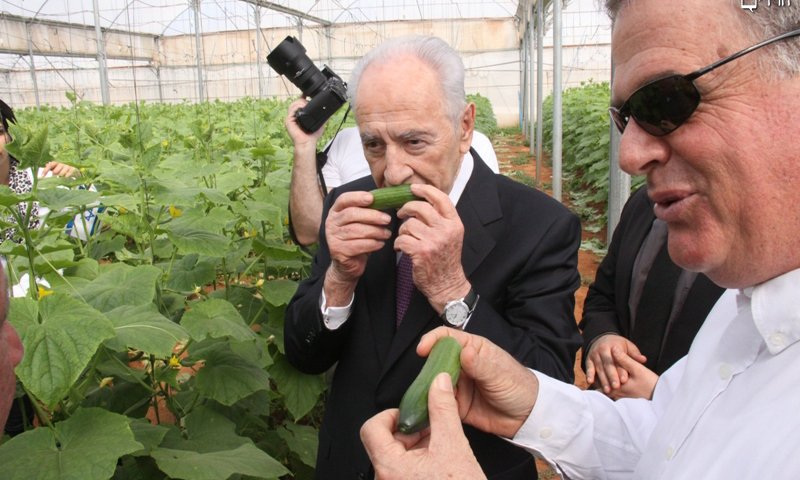 פרס בוחן את הפיתוחים החדשניים. צילום: יחצ