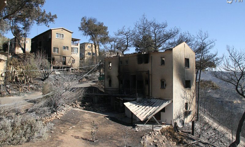 השריפה בכרמל. צילום: יצחק לב ארי