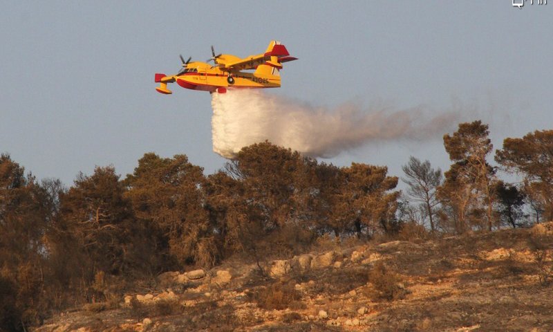 הנסיונות להשתלט על השריפה. צילום: יצחק לב ארי