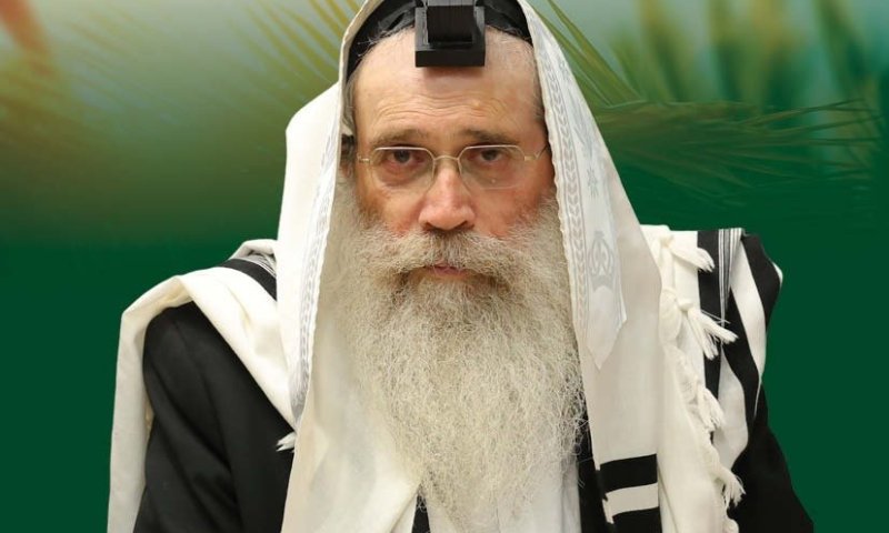 ההבטחה הנדירה של הגר"ש שטינמן לשמירה ב'בין הזמנים' ולנחת מהילדים