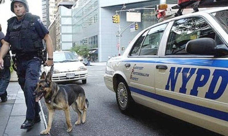 משטרת ניו יורק בפעולה. צילום: ארכיון