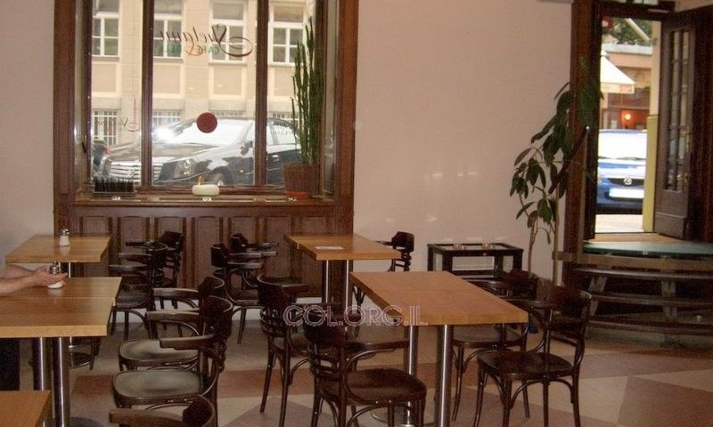 מסעדת 'שלנו' בפראג. צילום: COL