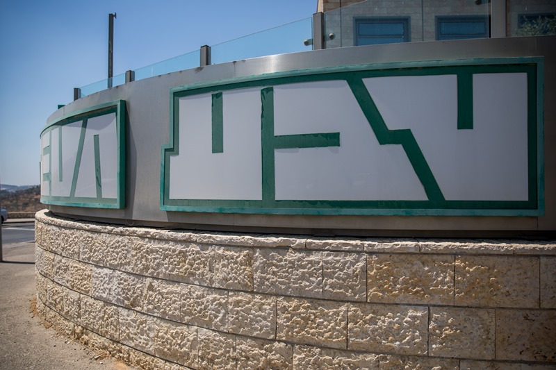 פלאש