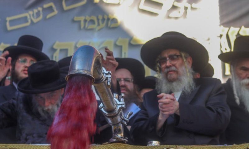 מעמד מיוחד ביקב 'אור הגנוז': הרבי מסאטמר הפריש עשרות אלפי ליטרים של יין