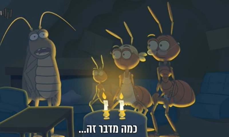 שבת - חג - שבת: כל אחד והתפקיד שלו &bull; צפו ב"קנייטש"