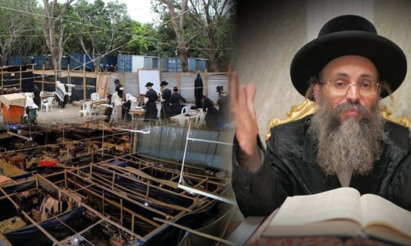 "זה קורה פעם בדור, פעם בכמה דורות": 25 'ילדי שואה' חולצו מכת לב טהור