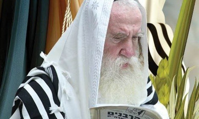 מפעים: סגולת "עלינו לשבח" ישר והפוך ביום הושענא רבה לכל הישועות על ידי הגר"מ גרוס 