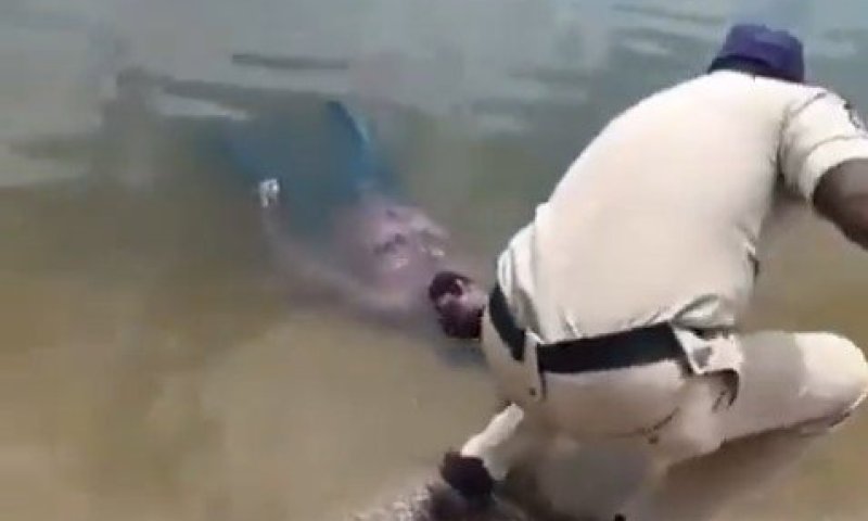 הדרמה שהפכה לבדיחה: "הגופה" שצפה באגם קמה לחיים מול השוטרים