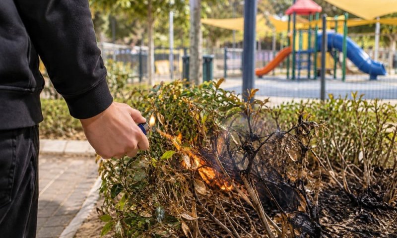 חשד להצתות בגנים ציבוריים ביפו: שלושה קטינים נעצרו