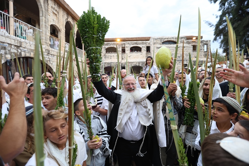 דוד כהן, פלאש 90