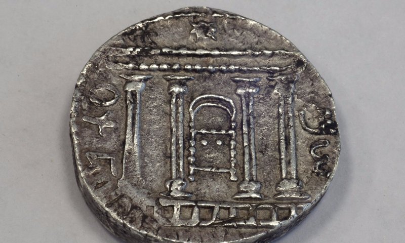 מטבע הכרכוב, צילום: יח"צ