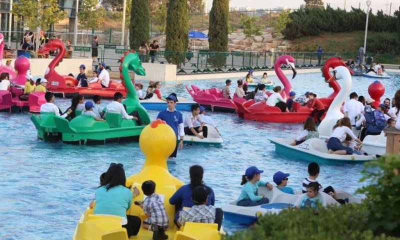 צילום: קובי הר צבי. וידאו: נתי אלבר