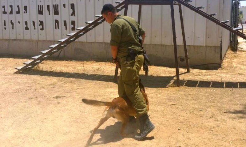 צילום: פלוגת מגיני הנגב החרדית - נצח יהודה