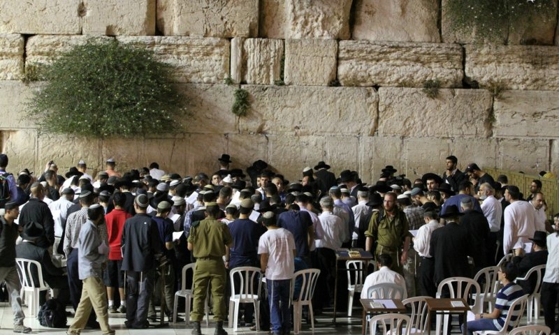 צילום: קובי הר-צבי