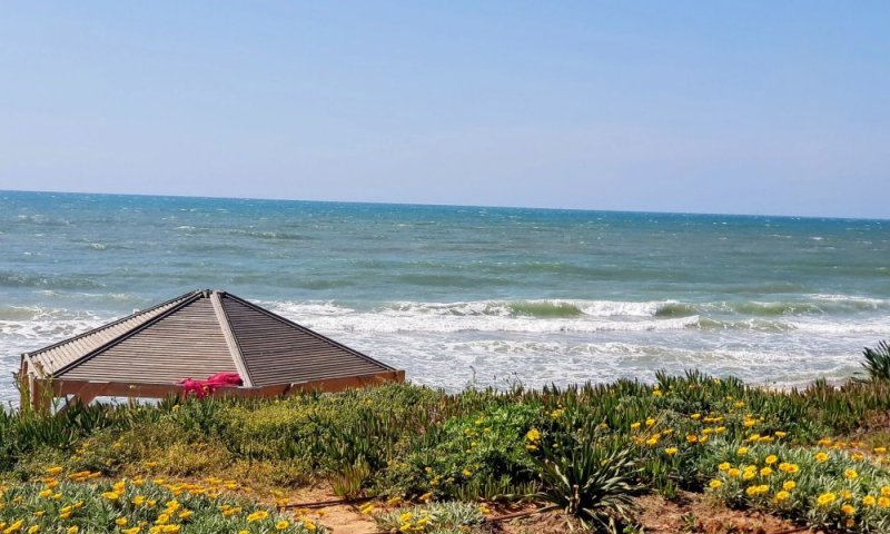 עשרות יצאו לחפש: 100 אלף ש"ח למי שימצא את הטלפון של הפצ"רית