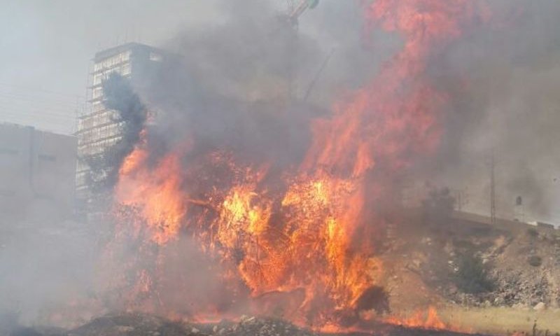 שריפה, צילום אילוסטרציה: דוברות כיבוי והצלה