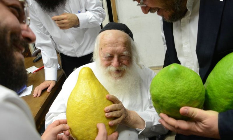 הגר"ח קנייבסקי הערב. צילום: שוקי לרר 