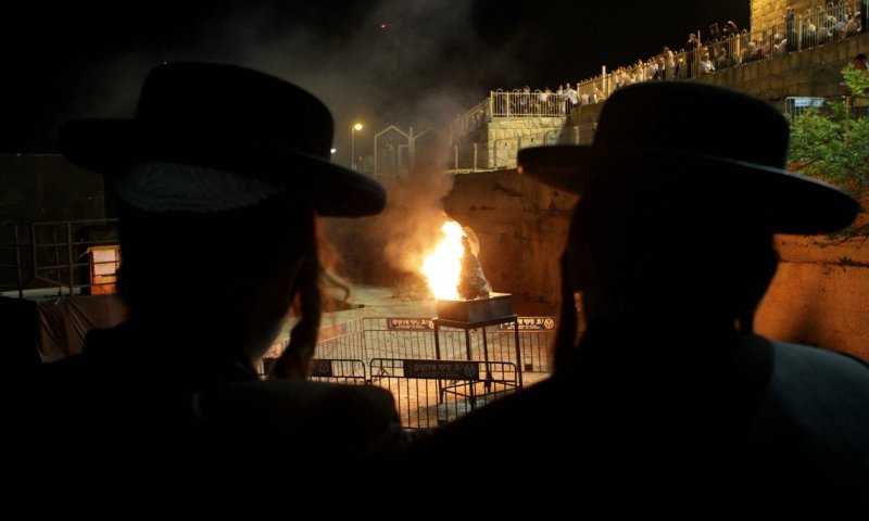 צילום: קובי הר-צבי