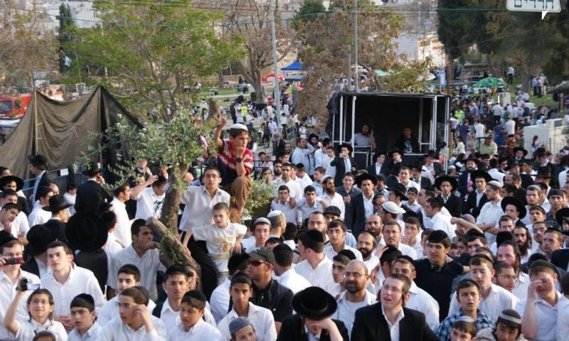 וזוכר חסדי אבות. רבבות החוגגים