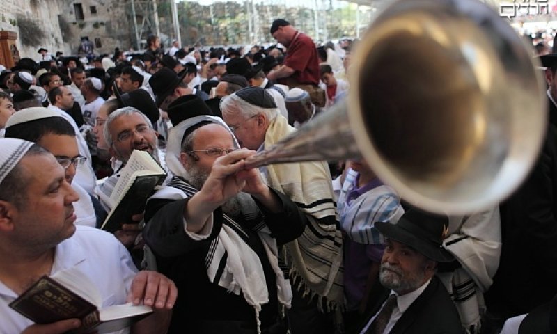 צילום: יעקב נחומי