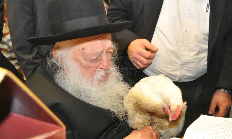 הגר"ח במנהג הכפרות. צילומים: שוקי לרר