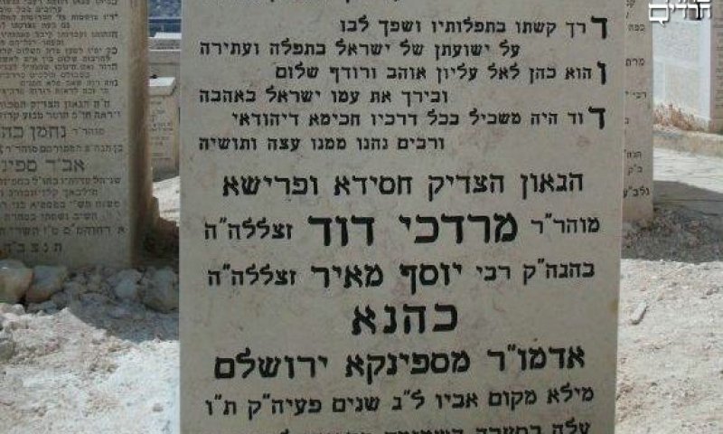 המצבה שהוקמה לאדמו"ר זצ"ל. צילום: בחדרי חרדים