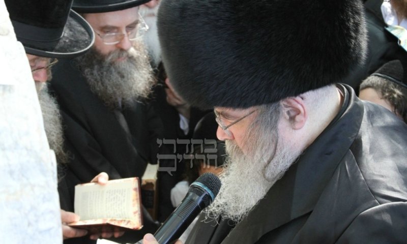 האדמו"ר בתפילה על הציון. צילום: בחדרי חרדים