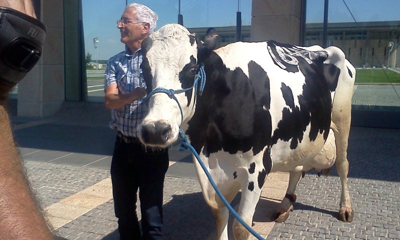 מלכת היופי  של הרפת בשערי הכנסת