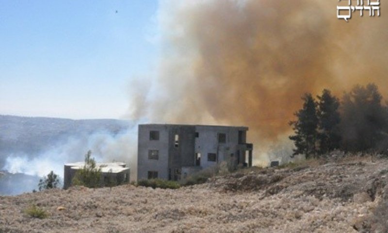 שריפת הענק מתפשטת