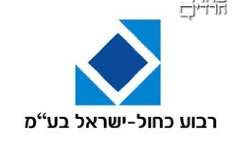 רשת הריבוע הכחול. 