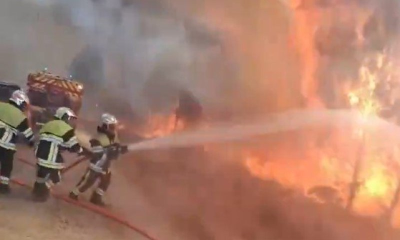 גל השרפות בצרפת: לוחמי האש ממשיכים במאבק חסר פשרות בלהבות