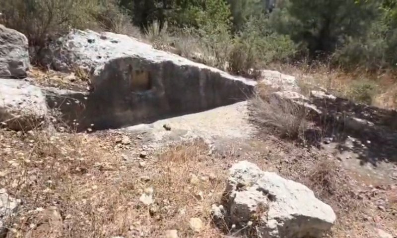 ממש מתחת לאף: כרמלי חשף גת עתיקה ומסביר כיצד לזהות שרידים קדומים