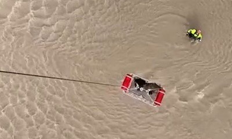 במבצע אווירי: שני כלבים חולצו משיטפונות הענק בטקסס