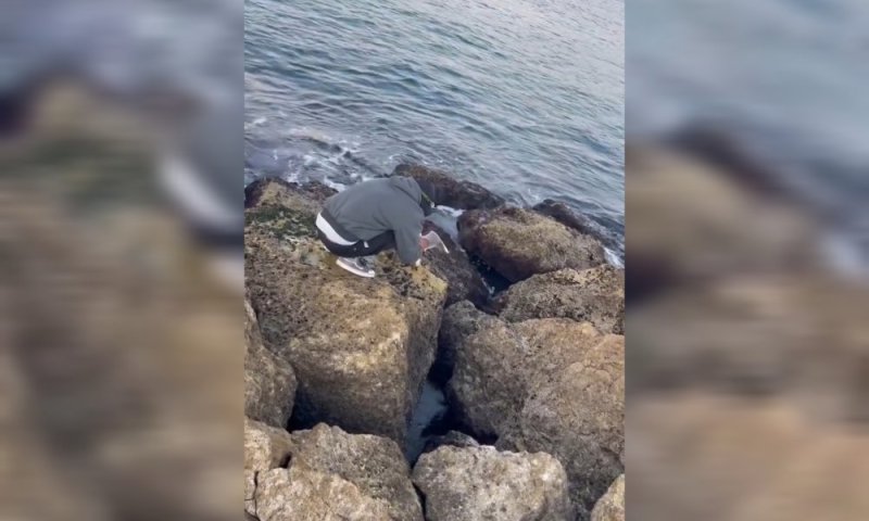 בא לתפוס דג ויצא עוף: הדייג לא האמין למה שהעלה בחכה