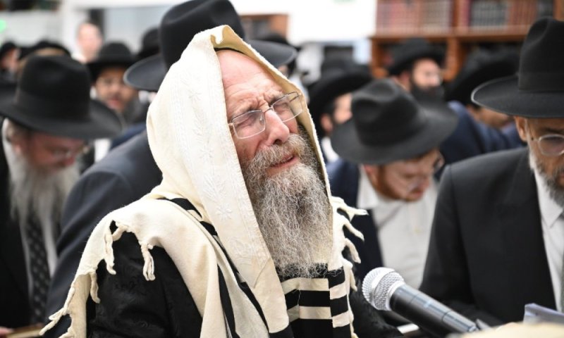 הרב אלימלך בידרמן הרב אלימלך בידרמן