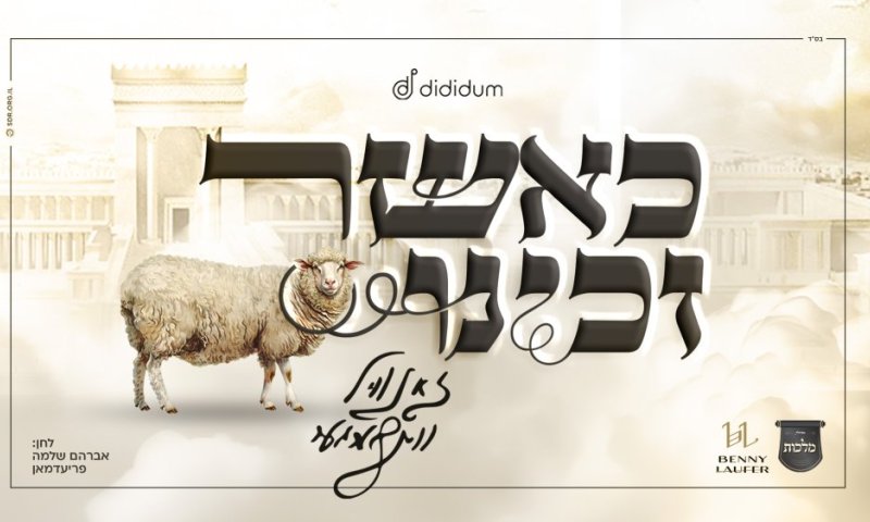 'כאשר זכינו': זאנוויל ו'מלכות' בשיר חדש לפסח!