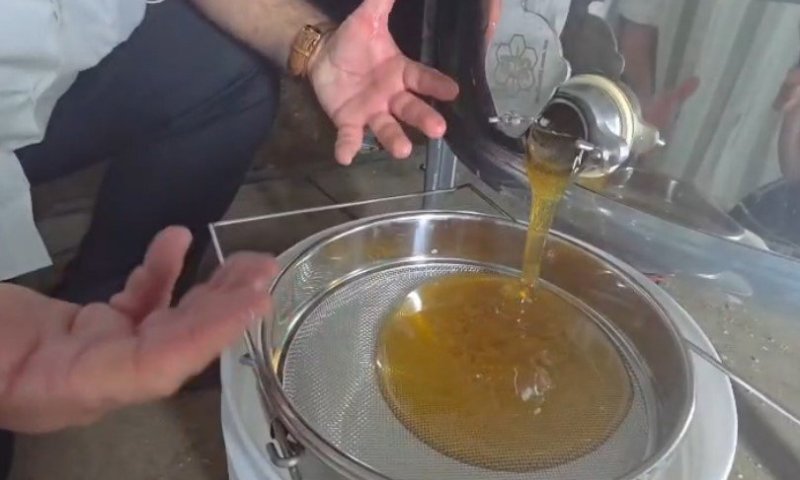 על הדבש ועל העוקץ: כמה תובנות חשובות על המאכל שבחיים לא מתקלקל