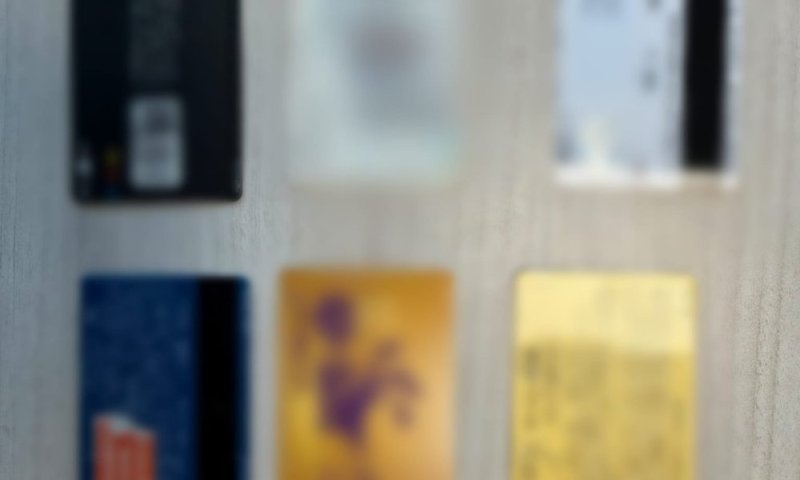 חשד לעוקץ: גנבה מניצולת שואה - ויצאה למסע קניות באלפי שקלים