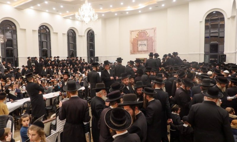 אדמו"ר ראשון שחולץ: הרבי מקרלין חזר לארץ דרך שארם א-שייח'