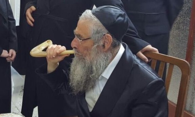 בעל התוקע מגור: הגאון החסיד רבי יצחק רוזמרין זצ"ל