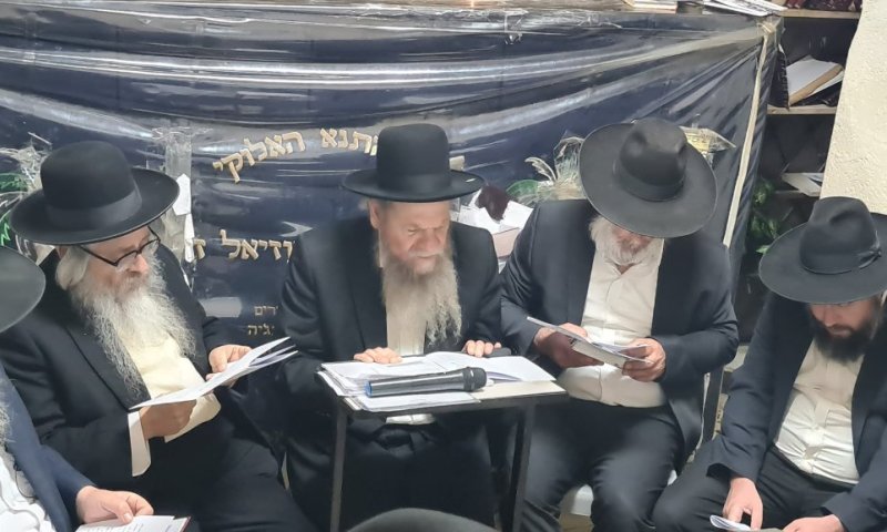 היסטורי: הגרמ"ש אדלשטיין יחתום על 'שטר השידוכים' בעמוקה