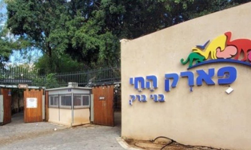 תלמידות ביה"ס "גשרים" לחינוך מיוחד שנפגע מטיל ונותרו ללא קורת גג נפגשו לראשונה ליום כיף