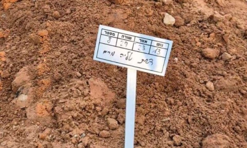 מעגל מצמרר של יתמות כפולה - אם יתומה שהשאירה יתומים