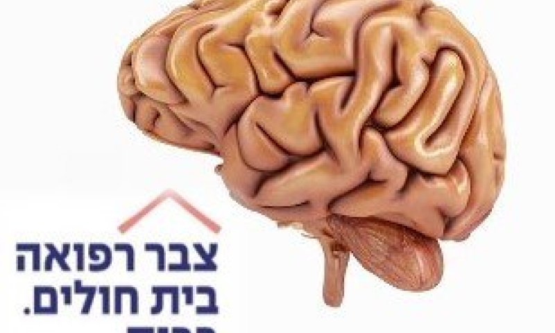 ׳צבר רפואה׳ בוועדת הבריאות - "חולי הדמנציה נופלים בין הכיסאות, חסר מודל ביניים"
