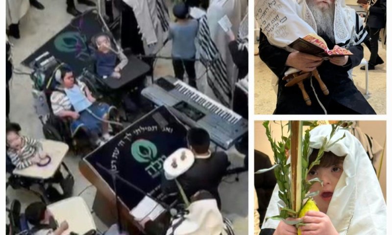 "ילדי 'עלה' הם ילדיו של הקב"ה - תפילה במחיצתם עולה השמיימה מיד"
