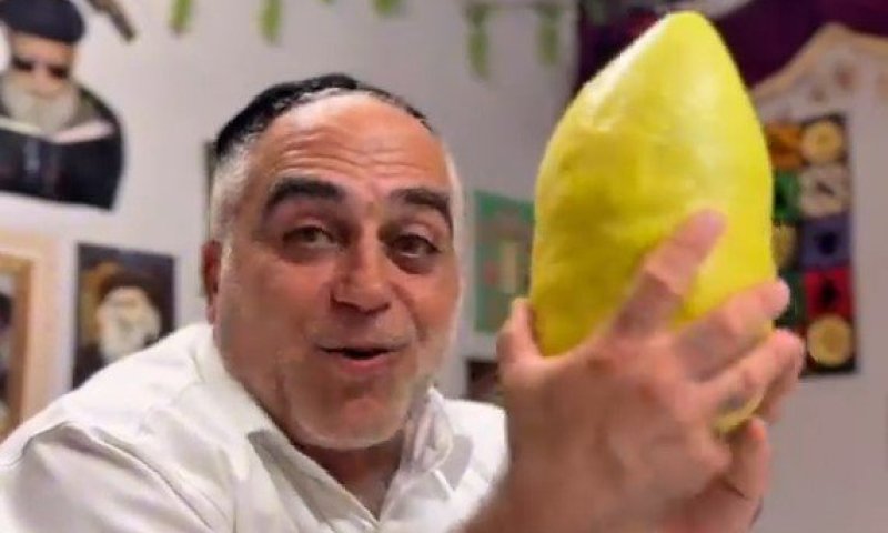 משקל של קילוגרמים בתוך עונה אחת: התובנות של יצחק כרמלי על האתרוג התימני