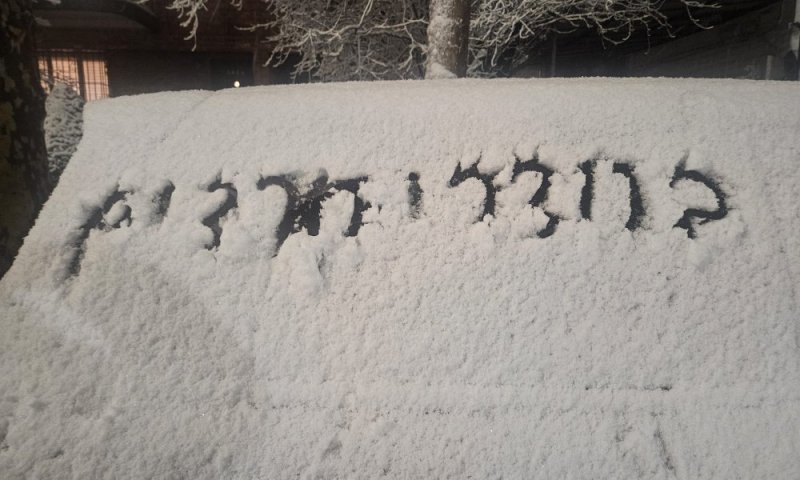 חופות הוקדמו - סגר על ניו יורק: שלג החל לרדת בתפוח הגדול