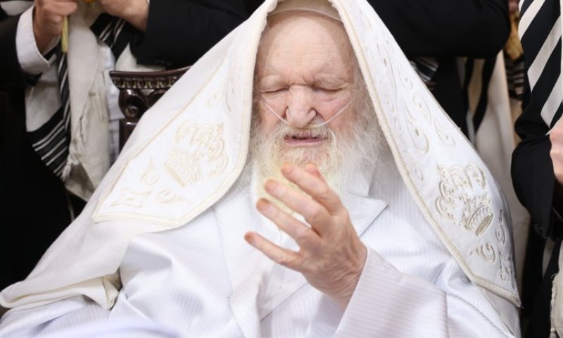 פוסק הדור, הגאון הרב משה שטרנבוך 