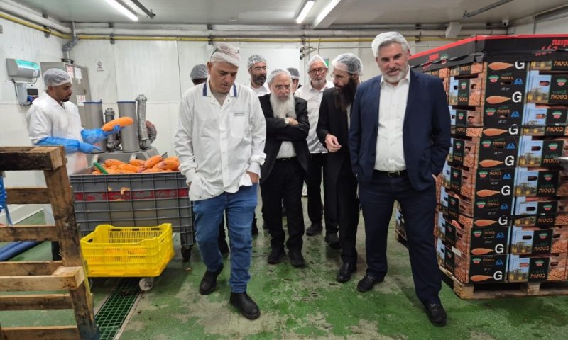 בשל החשש מ'חדש' בתבואה מחו"ל - היערכות מוגברת בבד"ץ חוג חתם סופר פ"ת למניעת חשש 'חדש' במוצרי היבוא